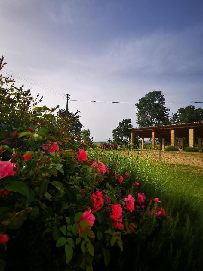 Cannara La Casa Dei Tigli Bed & Breakfast エクステリア 写真