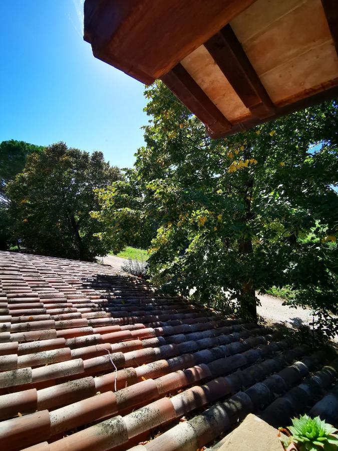 Cannara La Casa Dei Tigli Bed & Breakfast エクステリア 写真