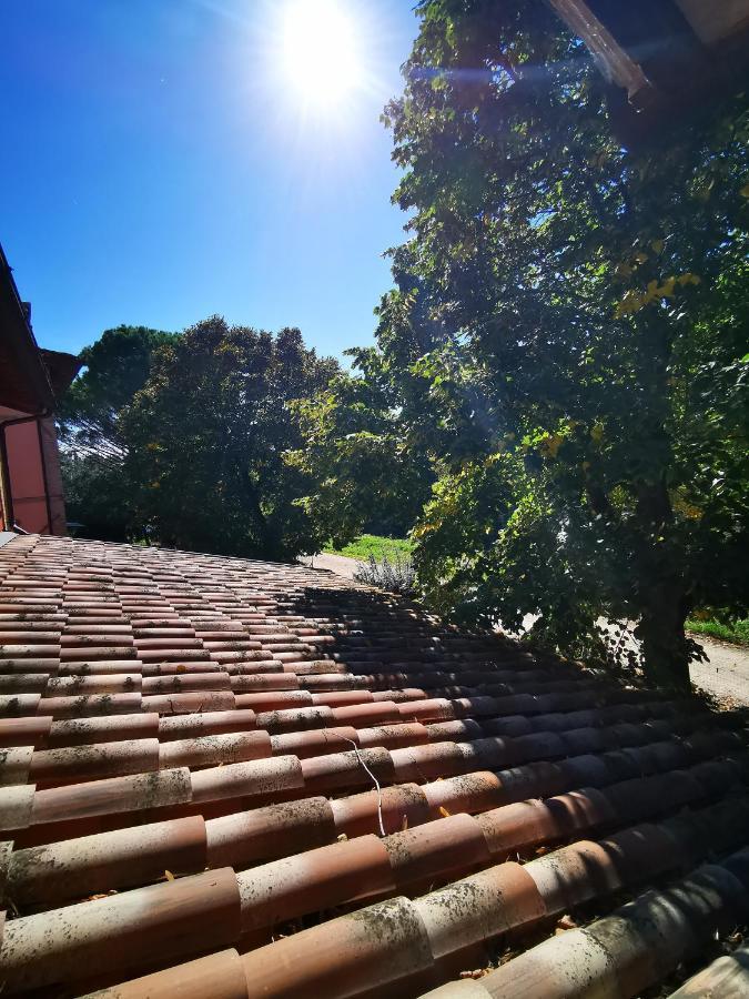 Cannara La Casa Dei Tigli Bed & Breakfast エクステリア 写真