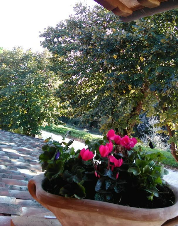Cannara La Casa Dei Tigli Bed & Breakfast 部屋 写真