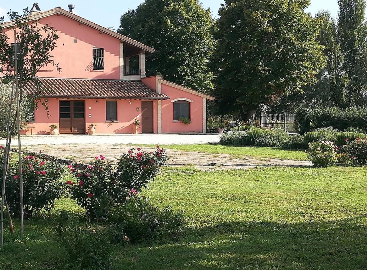 Cannara La Casa Dei Tigli Bed & Breakfast エクステリア 写真