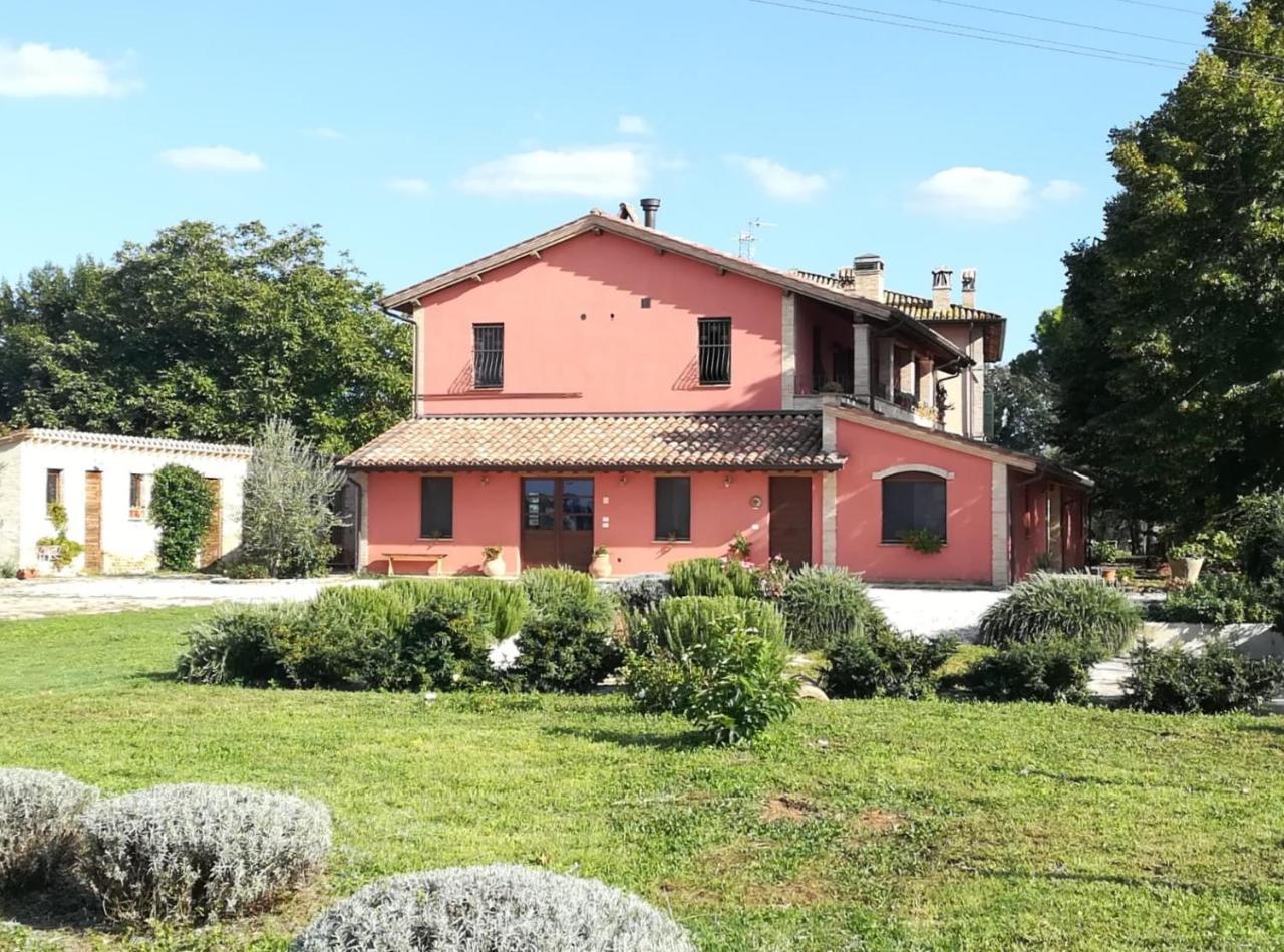 Cannara La Casa Dei Tigli Bed & Breakfast エクステリア 写真